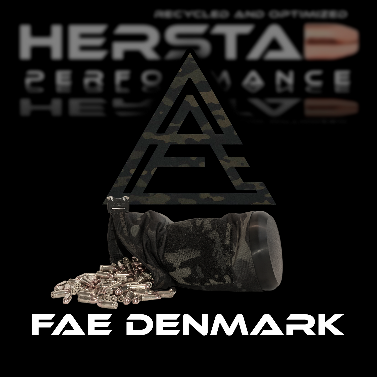 FAE Denmark