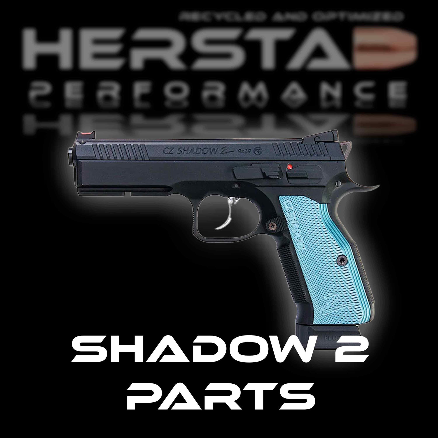 Parts for CZ Shadow 2