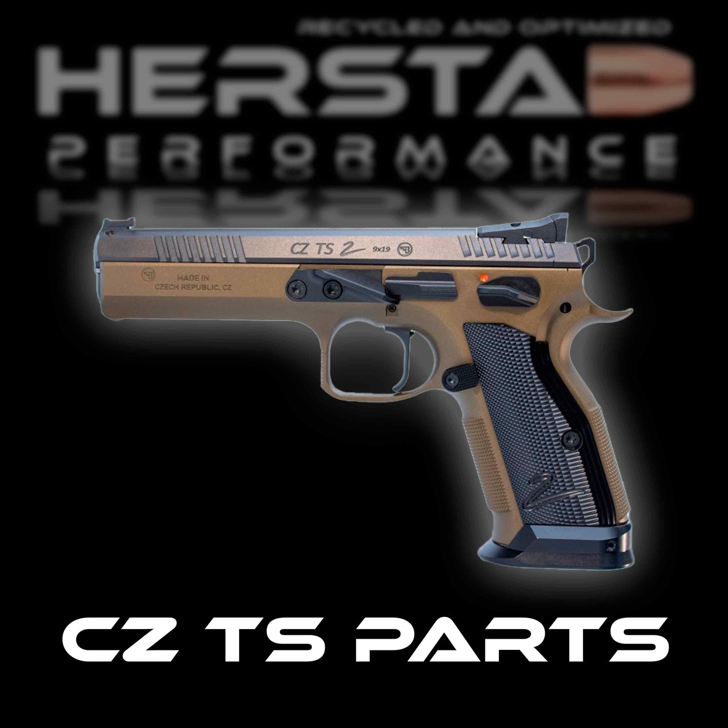 Parts for CZ TS