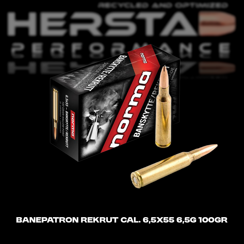 Banepatron Rekrut cal. 6,5x55 6,5g 100gr